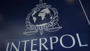 مونس الہی کو ریلیف بن گئی