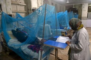 سندھ حکومت ڈینگی روکنے میں ناکام